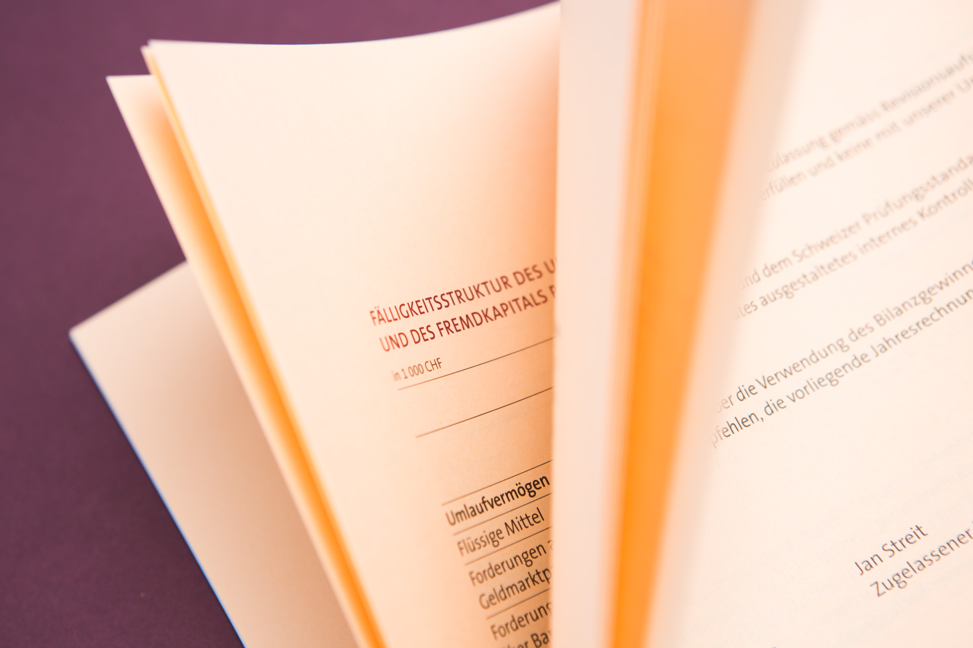 Brainheart_Portfolio-663 Banque CIC (Suisse)