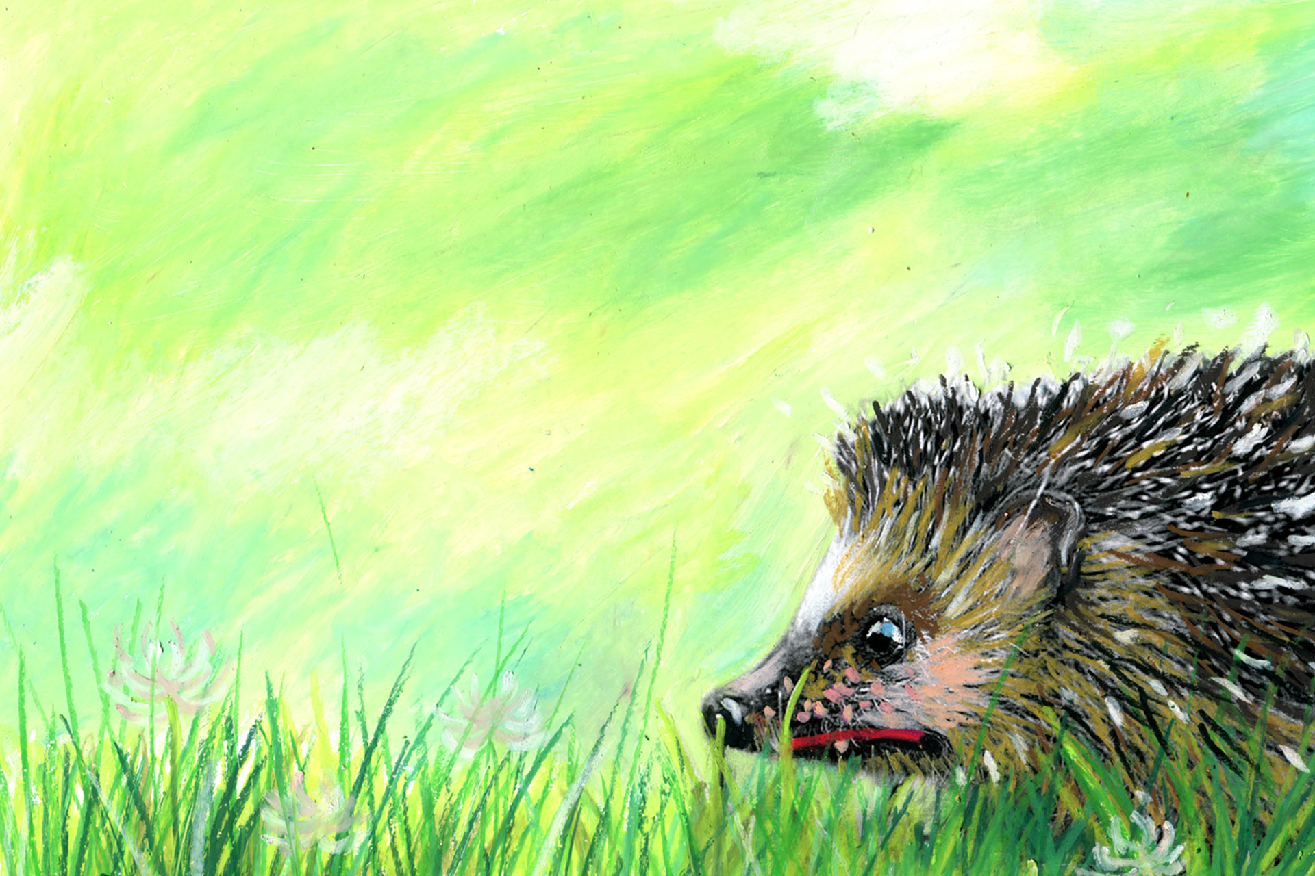 MirjamPierig_Brainheart_Illustrationen_Igelbuch_Kora_findet_Balthasar_Innenseite01_1280px Illustrations-StilARTen