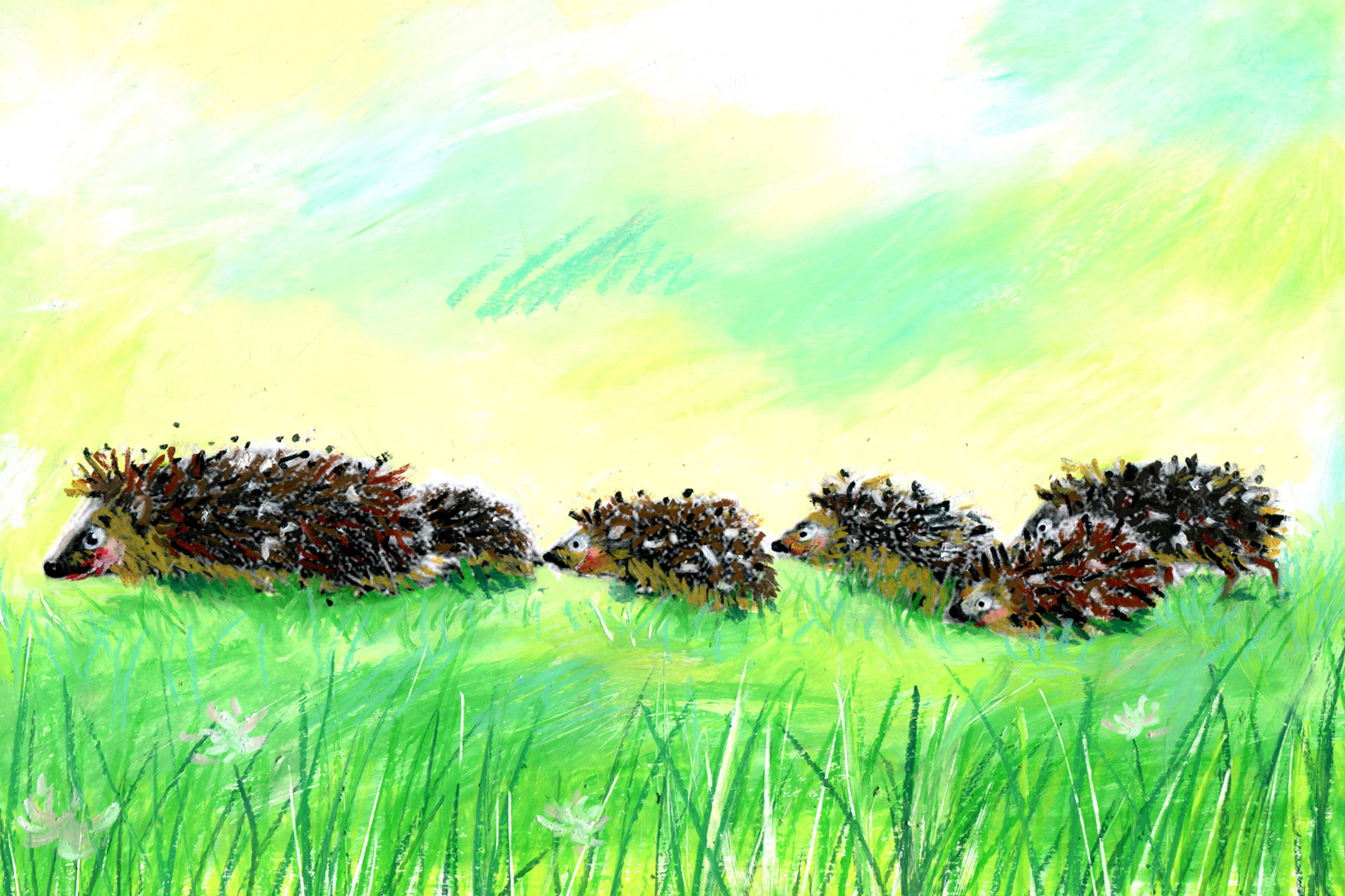 MirjamPierig_Brainheart_Illustrationen_Igelbuch_Kora_findet_Balthasar_Innenseite02_1280px Illustrations-StilARTen