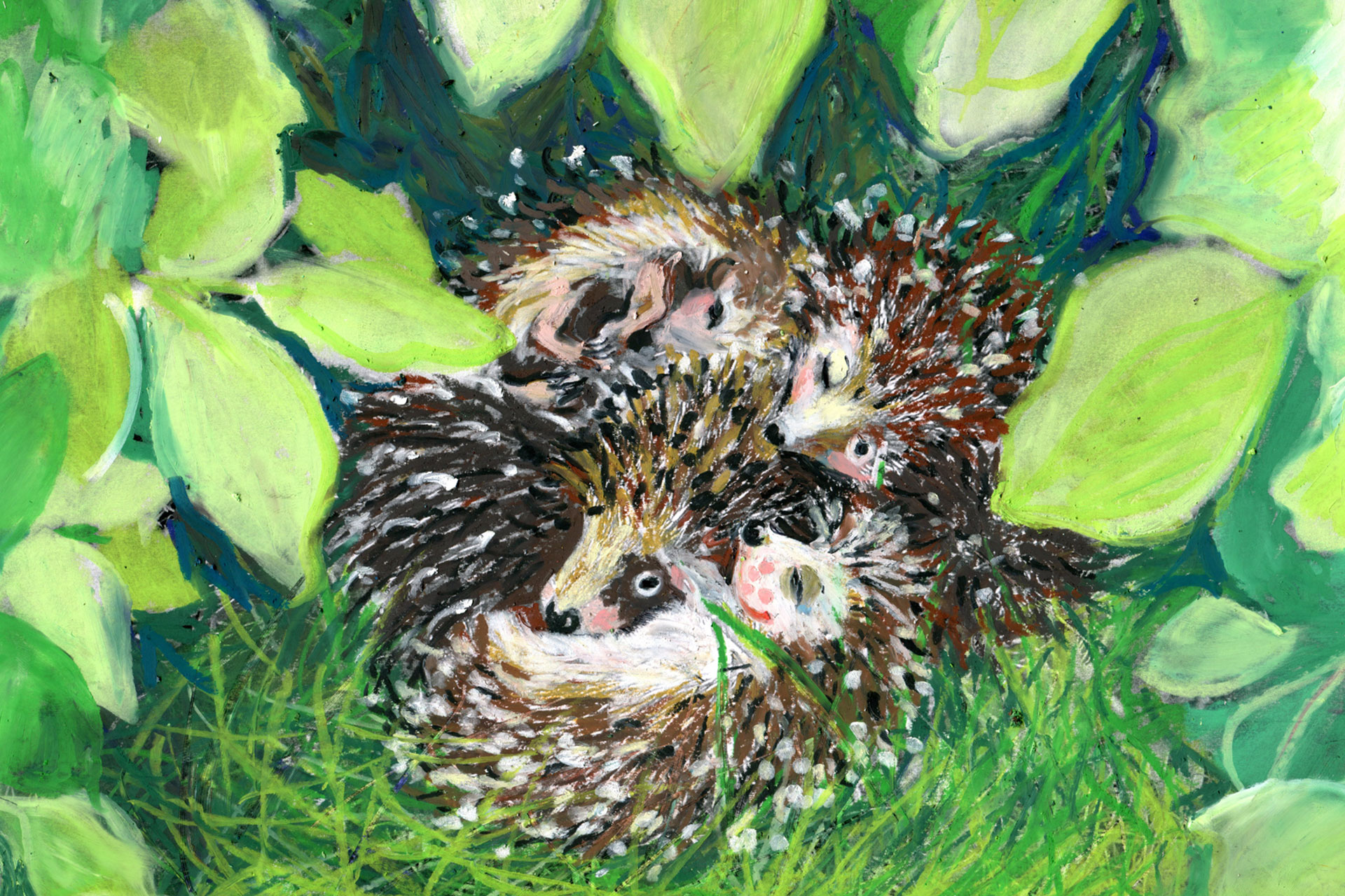 MirjamPierig_Brainheart_Illustrationen_Igelbuch_Kora_findet_Balthasar_Innenseite03_1280px Illustrations-StilARTen